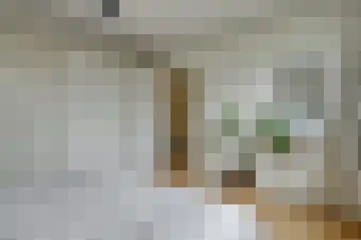 Maniladreef 14 Utrecht thumbnail 22