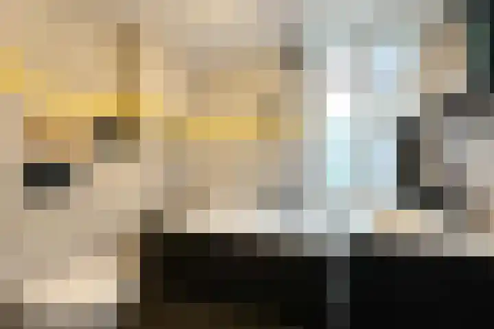 Maniladreef 14 Utrecht thumbnail 23