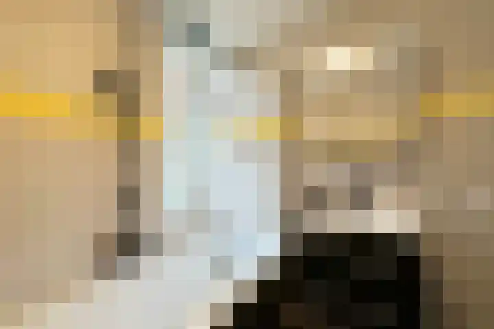Maniladreef 14 Utrecht thumbnail 24