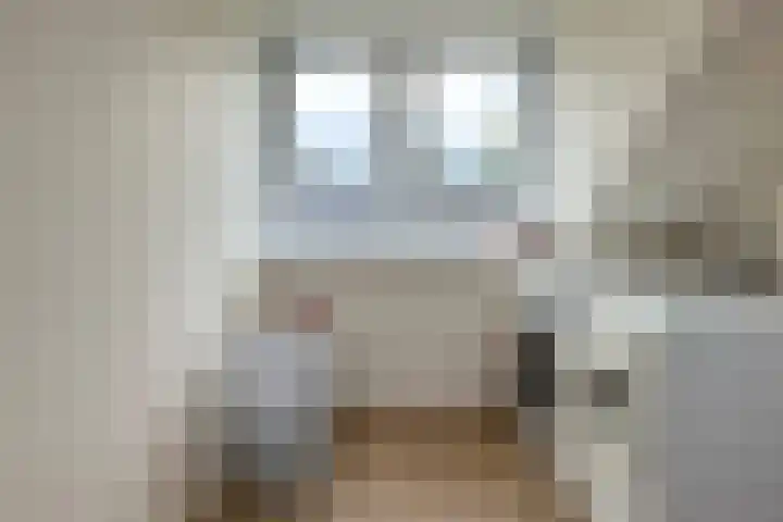 Maniladreef 14 Utrecht thumbnail 28