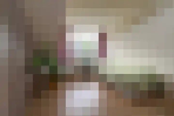 Maniladreef 14 Utrecht thumbnail 30
