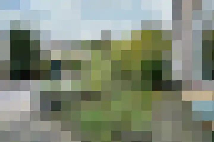 Maniladreef 14 Utrecht thumbnail 32