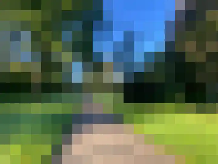 Maniladreef 14 Utrecht thumbnail 35