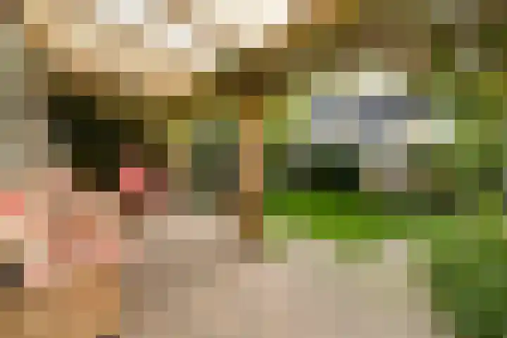 Maniladreef 14 Utrecht thumbnail 4