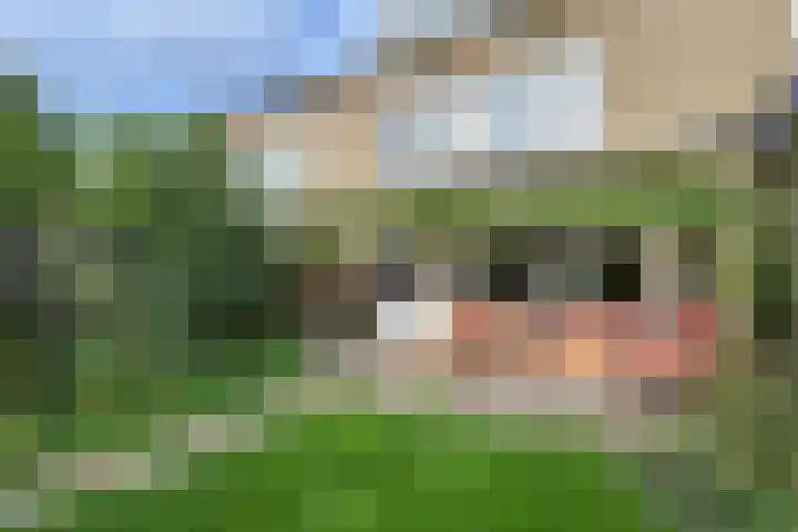 Maniladreef 14 Utrecht thumbnail 8