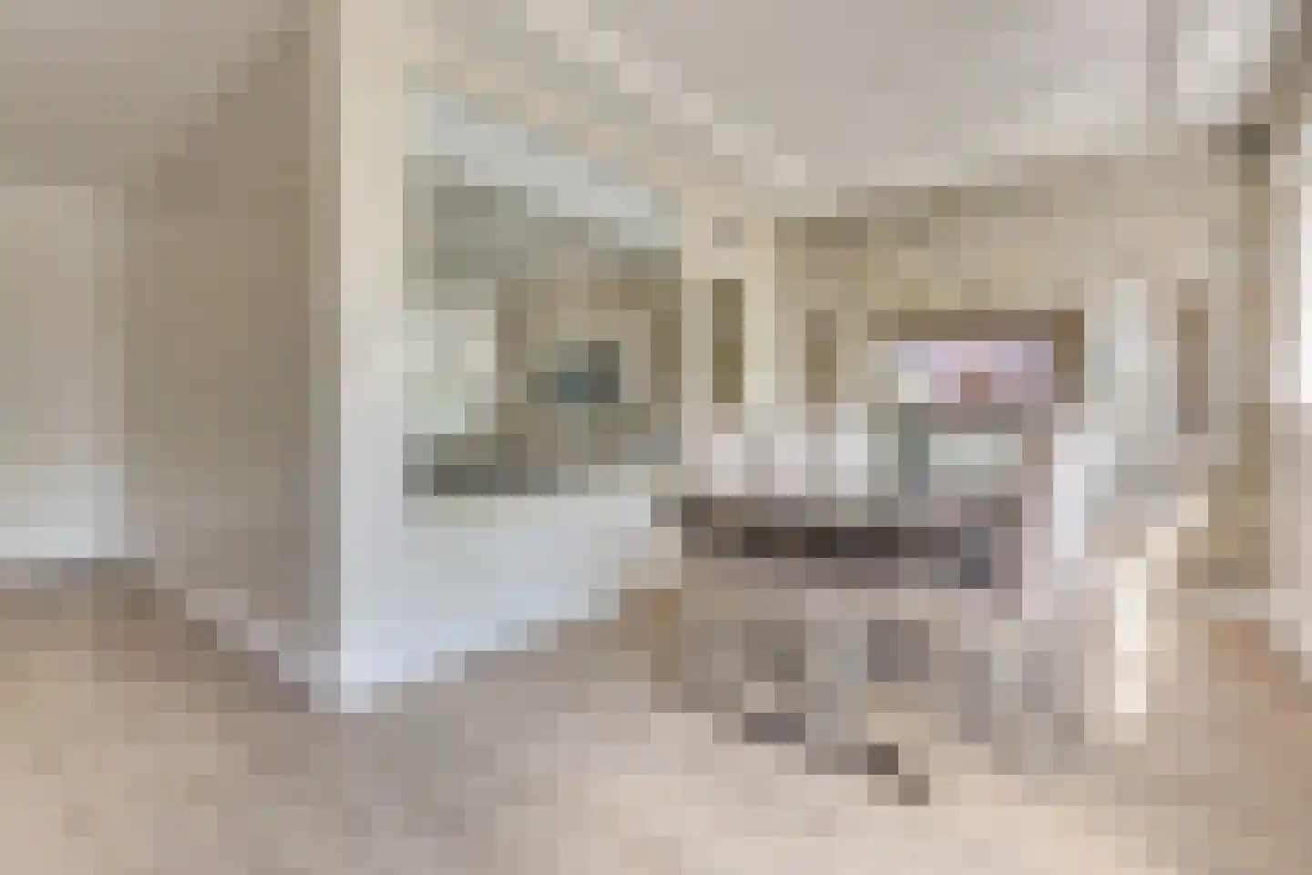 Maniladreef 24 Utrecht thumbnail 17