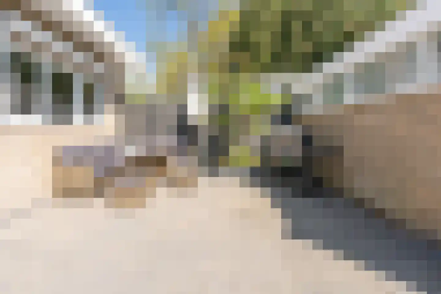 Maniladreef 24 Utrecht thumbnail 21