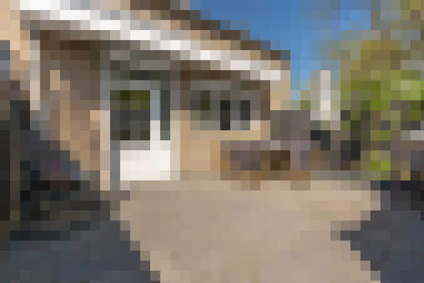 Maniladreef 24 Utrecht thumbnail 21