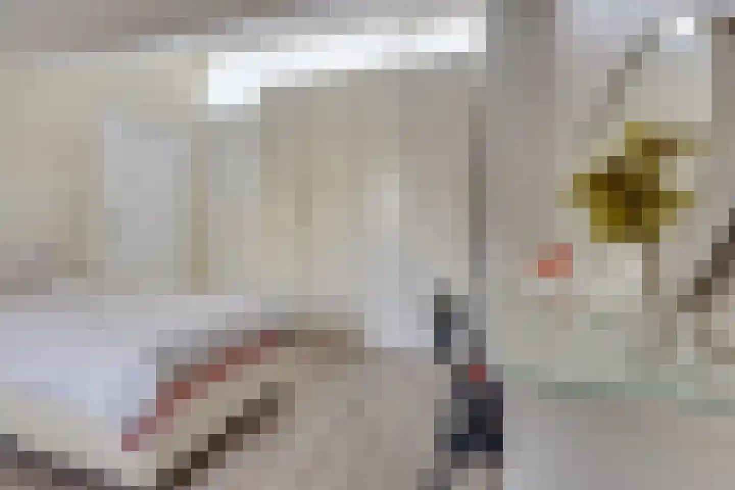 Maniladreef 24 Utrecht thumbnail 34