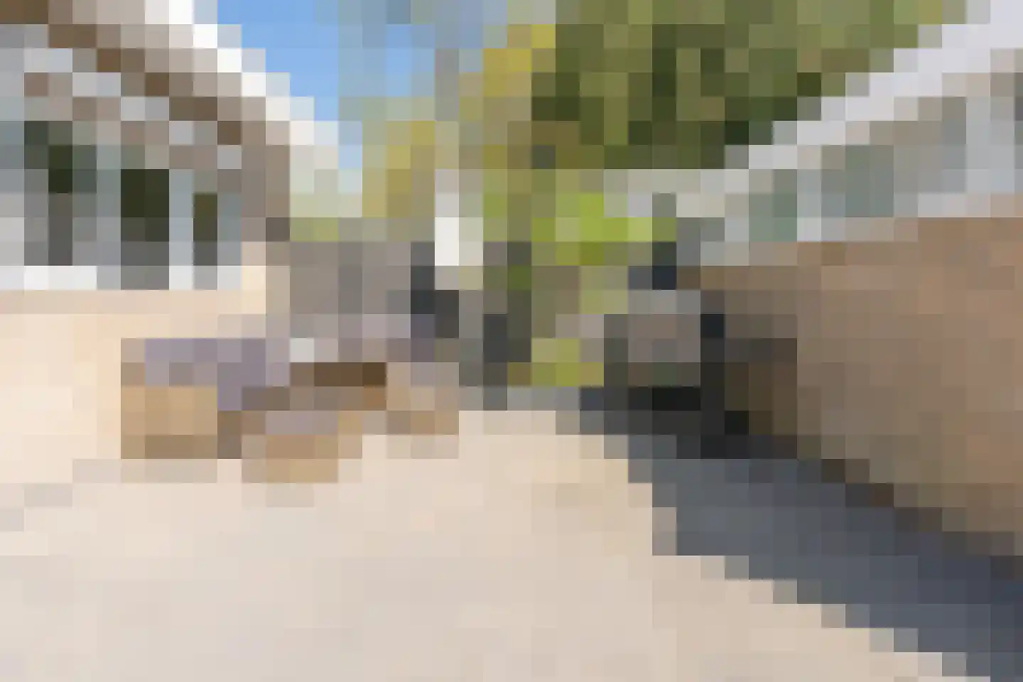 Maniladreef 24 Utrecht thumbnail 4