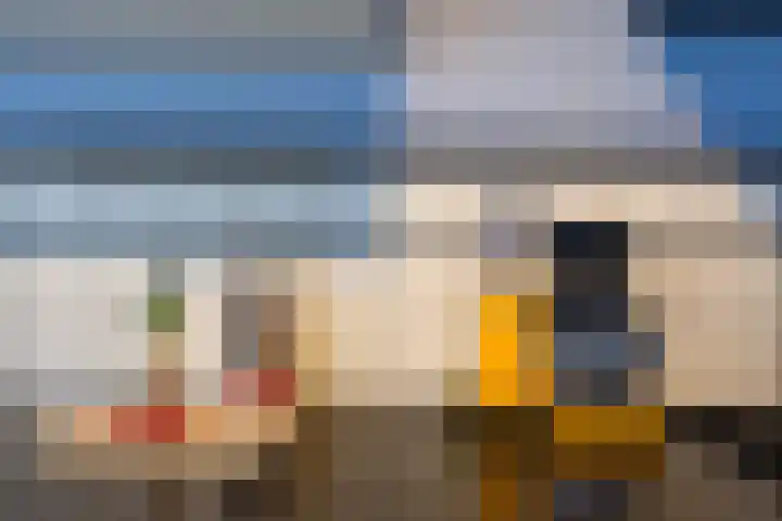 Maniladreef 6 Utrecht thumbnail 10