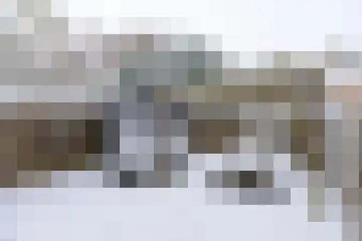 Maniladreef 6 Utrecht thumbnail 12