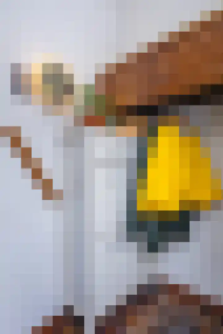 Maniladreef 6 Utrecht thumbnail 17