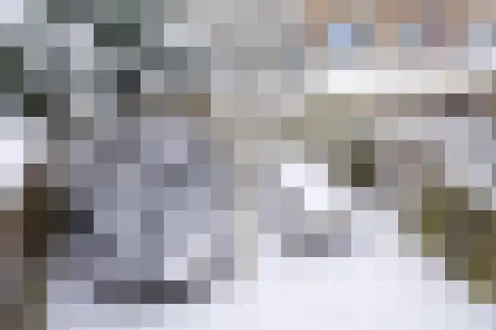 Maniladreef 6 Utrecht thumbnail 24