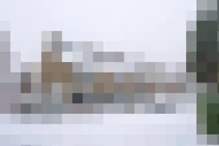 Maniladreef 6 Utrecht thumbnail 36