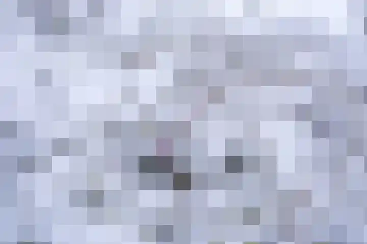 Maniladreef 6 Utrecht thumbnail 39