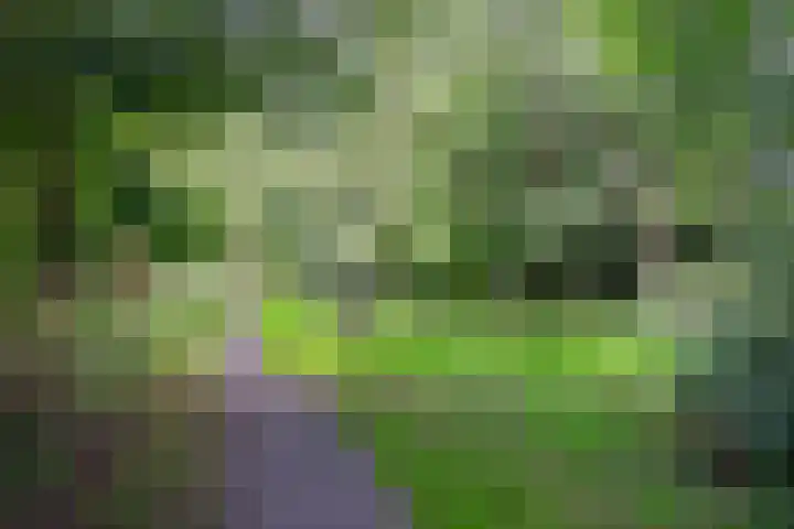Maniladreef 6 Utrecht thumbnail 40