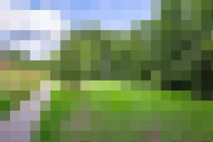 Maniladreef 6 Utrecht thumbnail 41