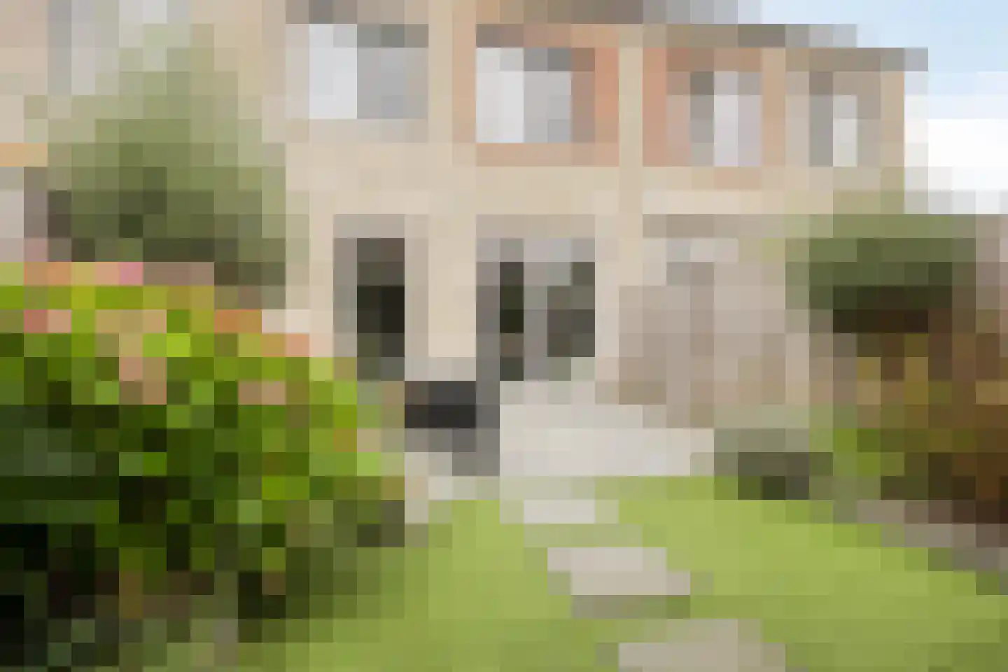 Manilla 20 Oudewater thumbnail 18