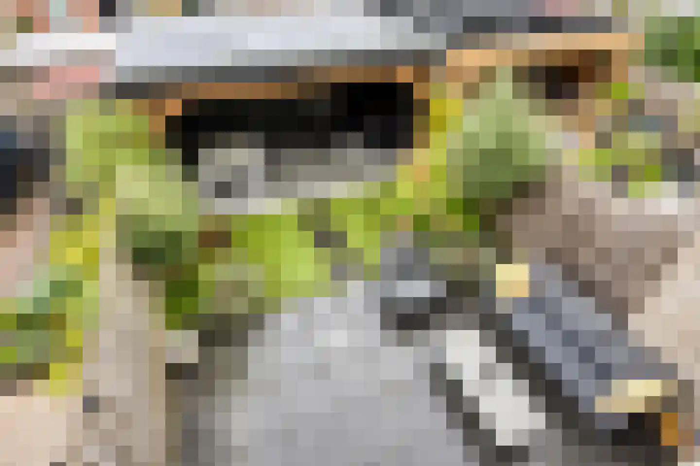 Manilla 20 Oudewater thumbnail 40