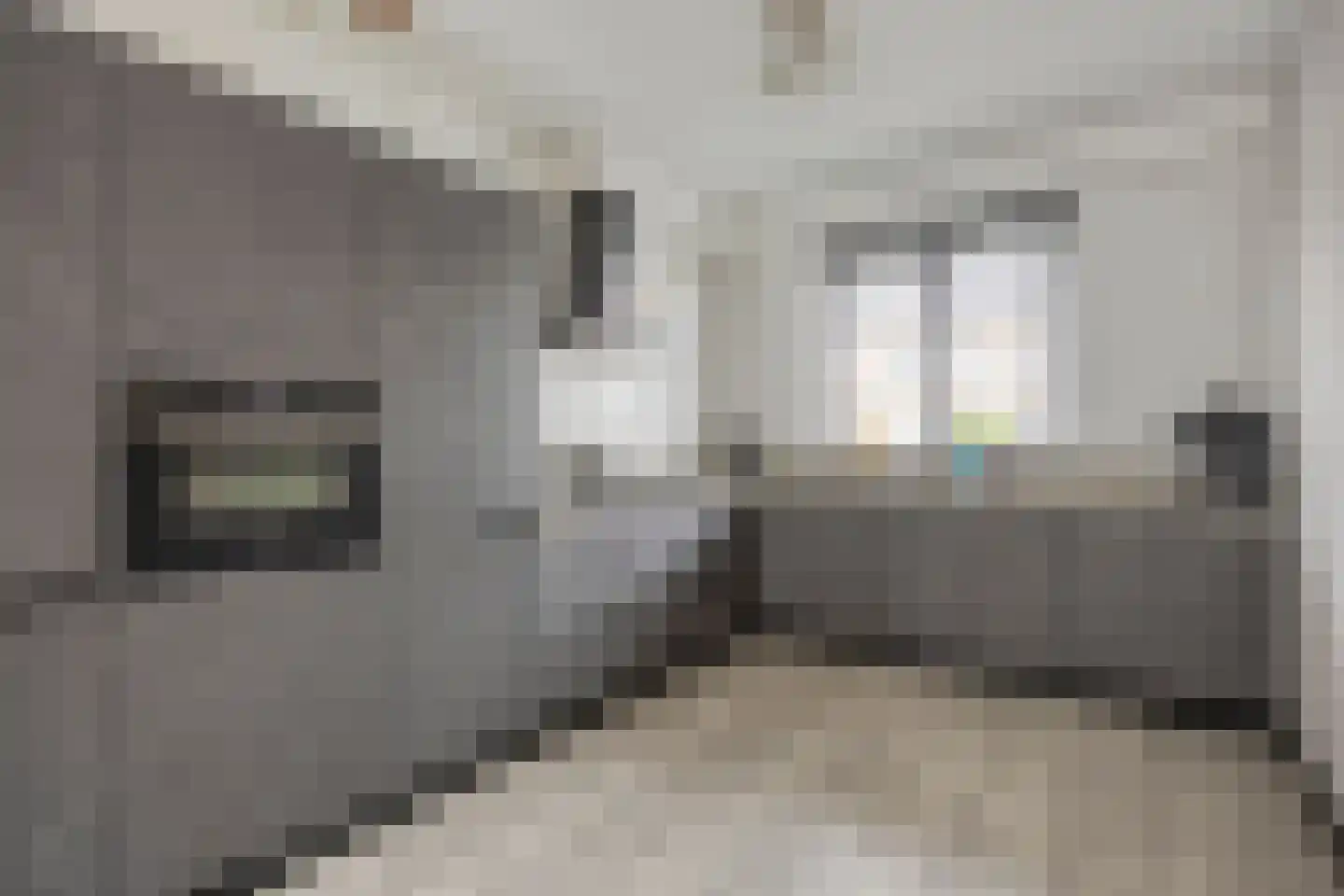 Manilla 20 Oudewater thumbnail 8