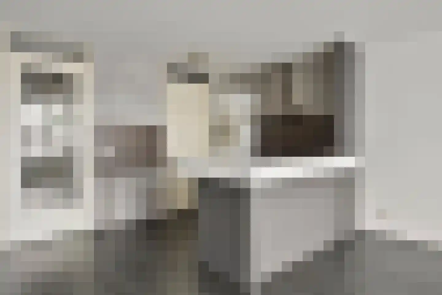 Manis Krijgsmanhof 106 's-Hertogenbosch thumbnail 10