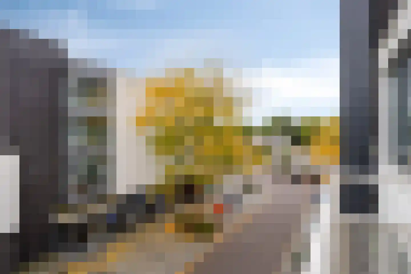 Manis Krijgsmanhof 106 's-Hertogenbosch thumbnail 14