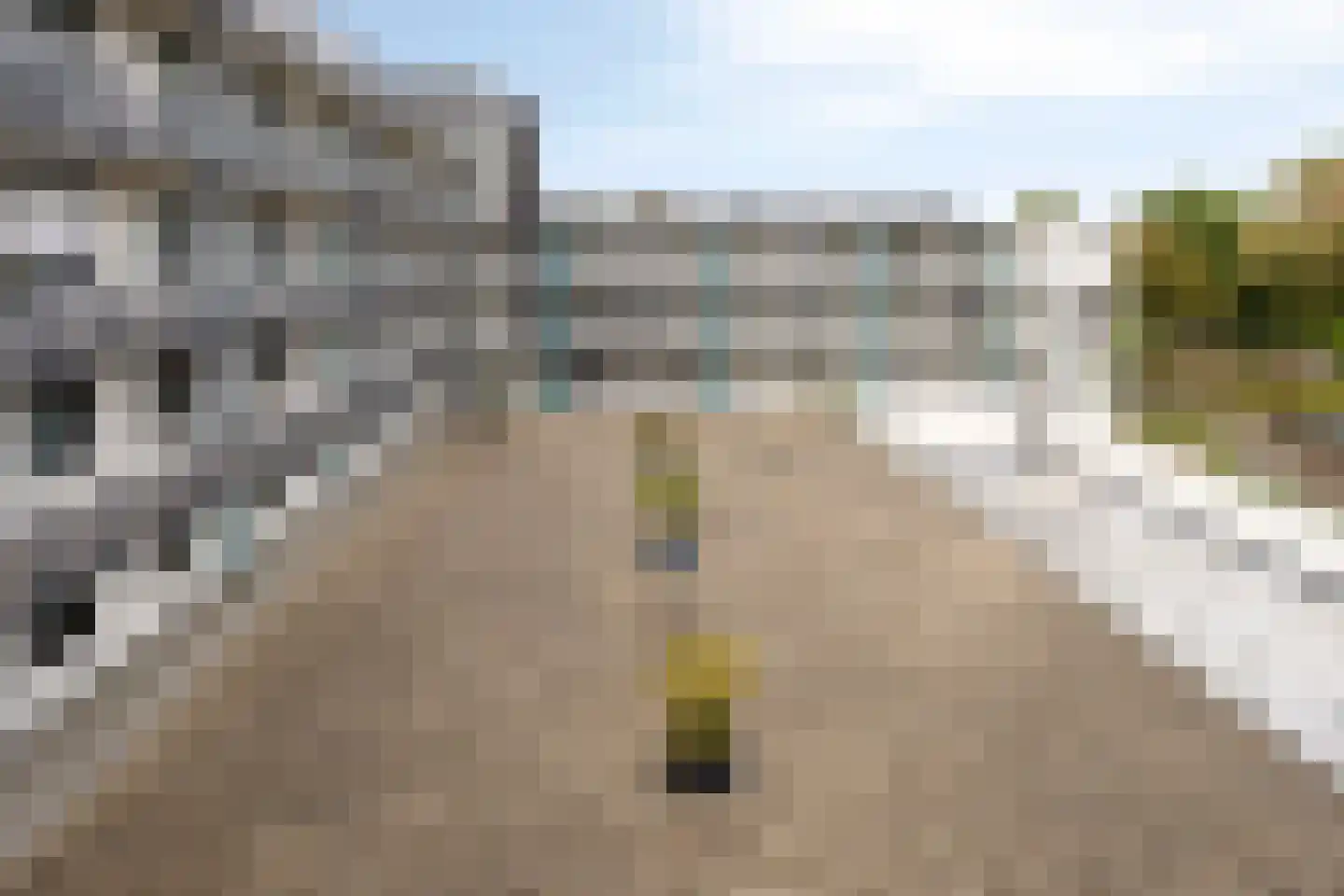 Manis Krijgsmanhof 106 's-Hertogenbosch thumbnail 27