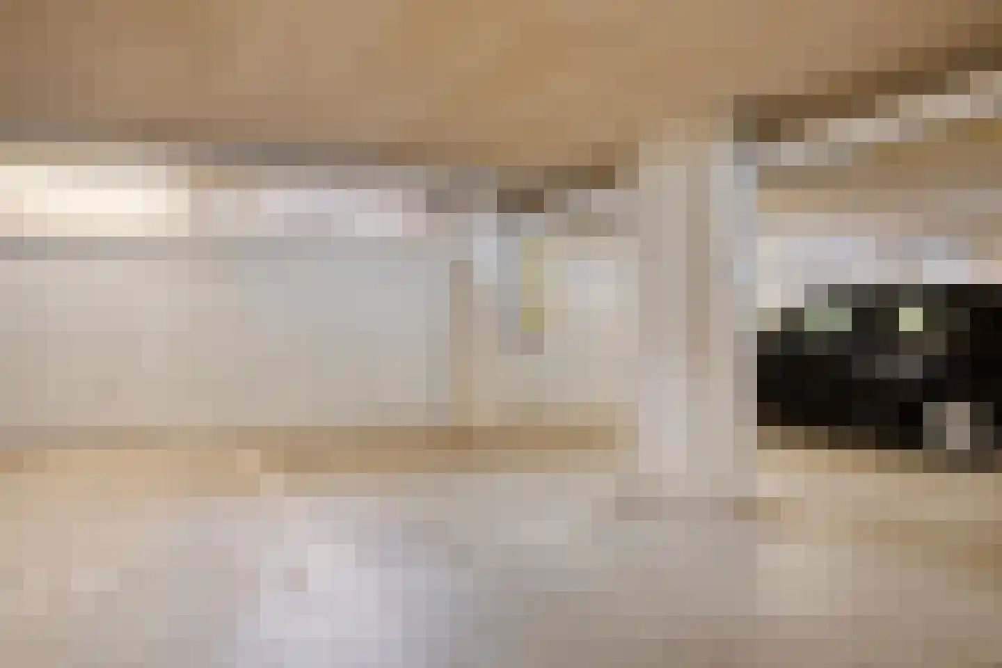 Manis Krijgsmanhof 106 's-Hertogenbosch thumbnail 30