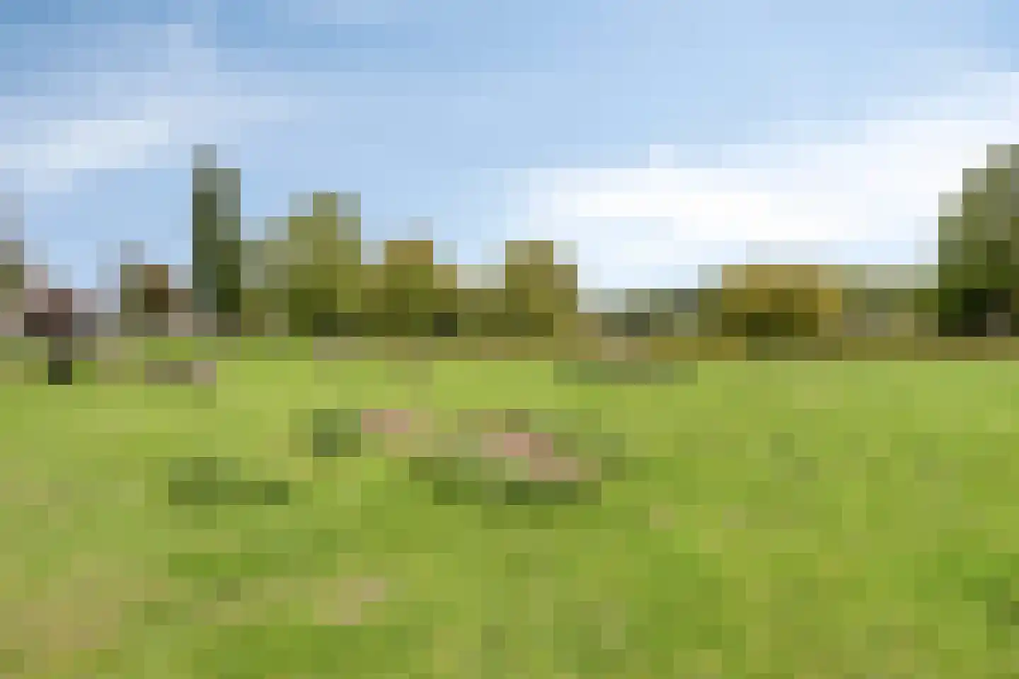 Manis Krijgsmanhof 106 's-Hertogenbosch thumbnail 34