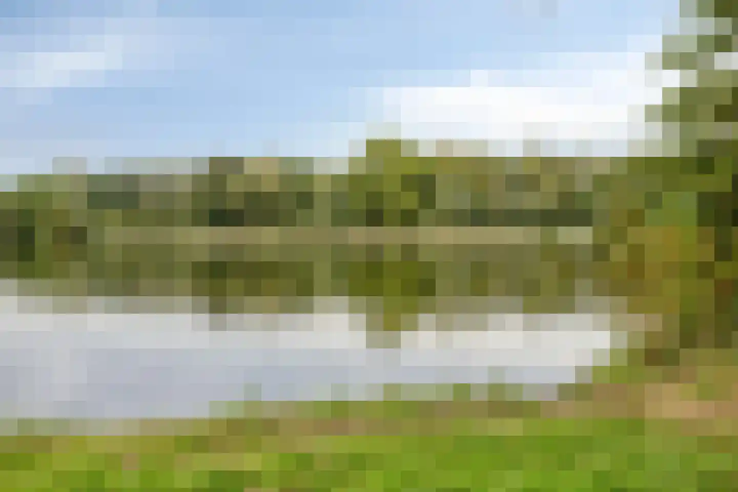 Manis Krijgsmanhof 106 's-Hertogenbosch thumbnail 35