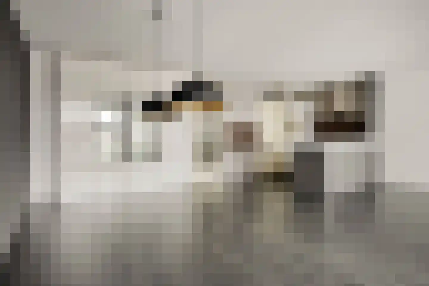 Manis Krijgsmanhof 106 's-Hertogenbosch thumbnail 7