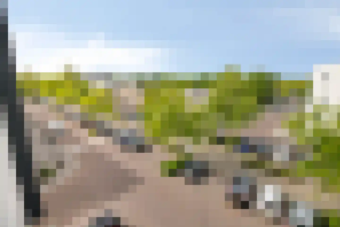Manis Krijgsmanhof 112 's-Hertogenbosch thumbnail 17