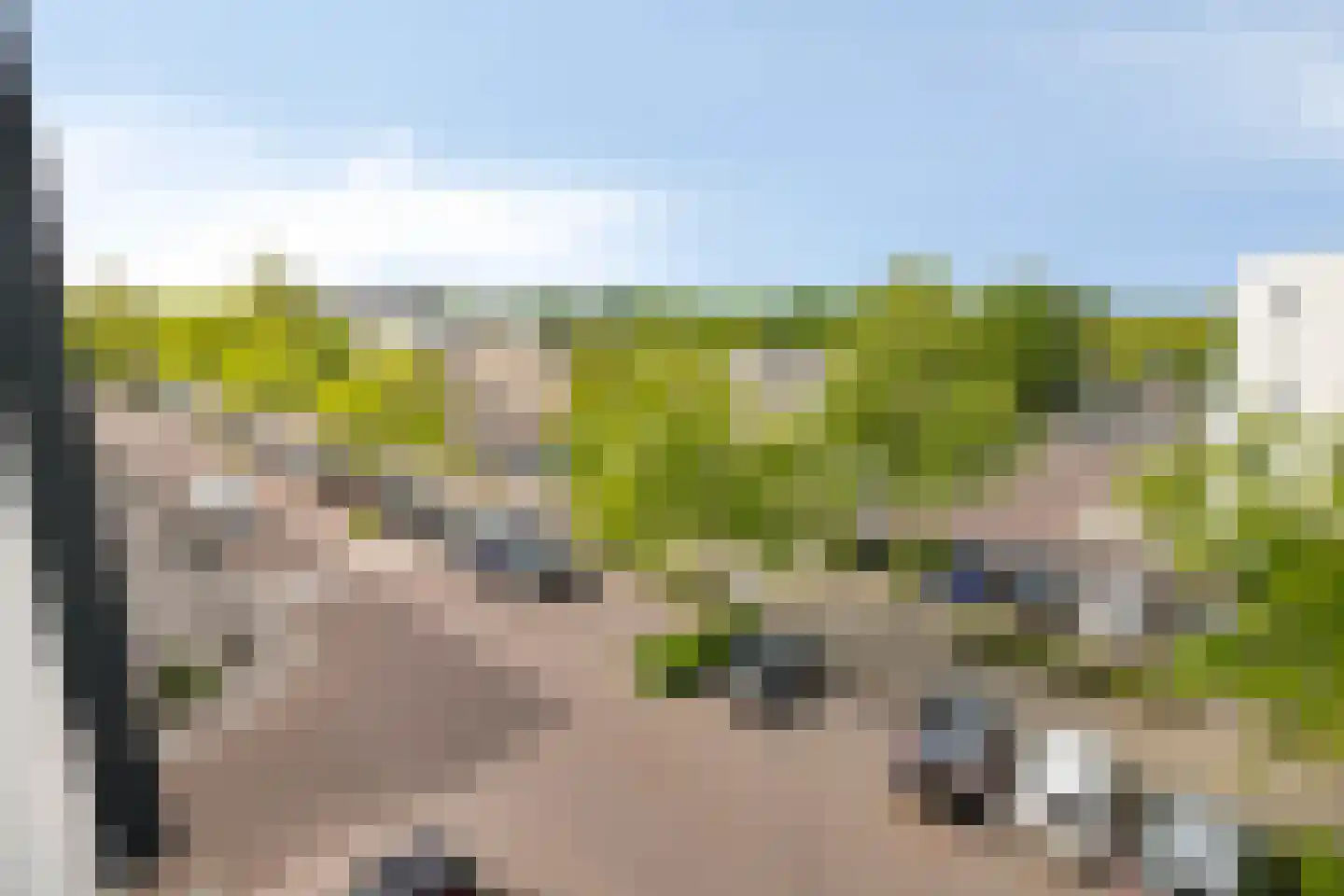 Manis Krijgsmanhof 112 's-Hertogenbosch thumbnail 18