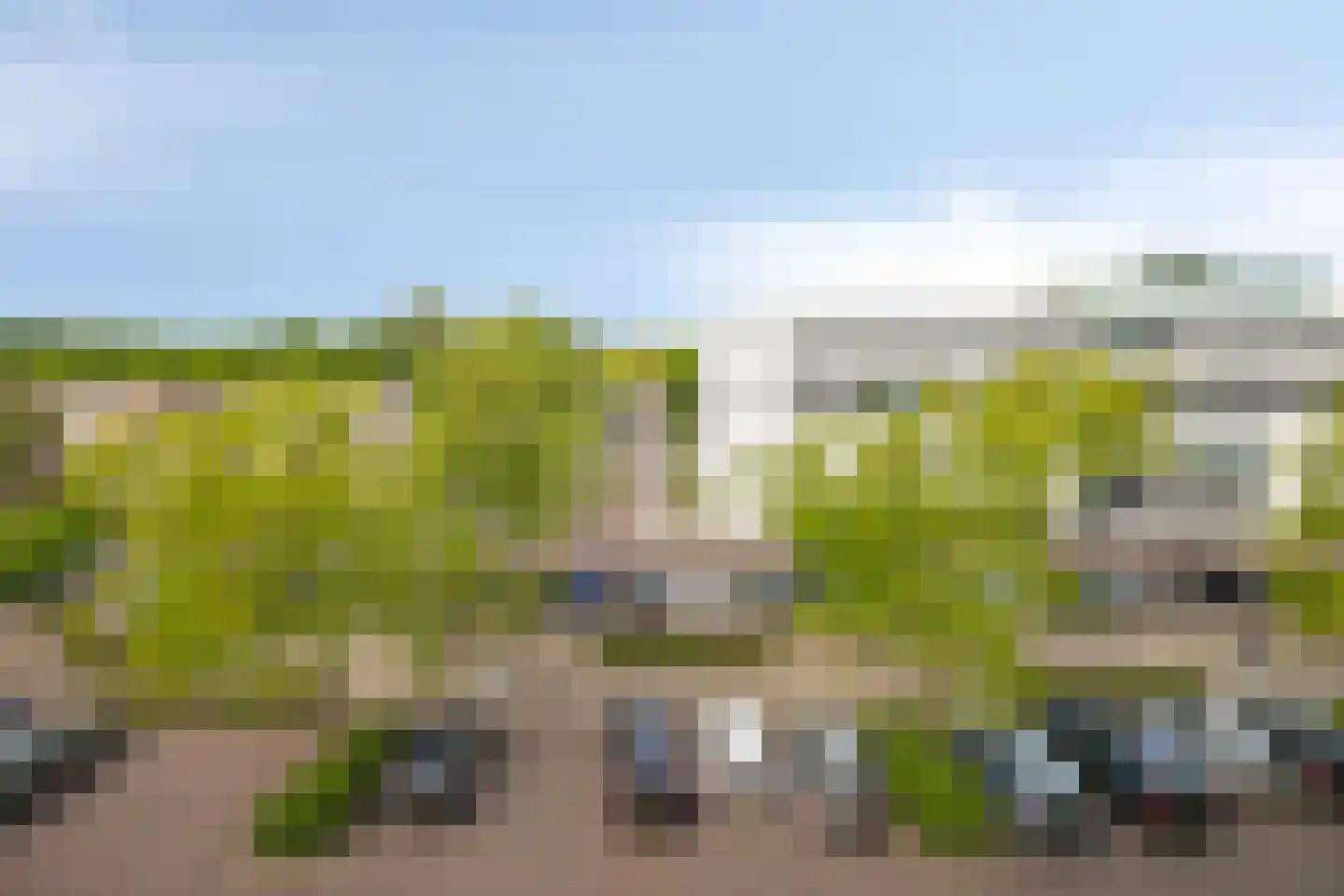 Manis Krijgsmanhof 112 's-Hertogenbosch thumbnail 19