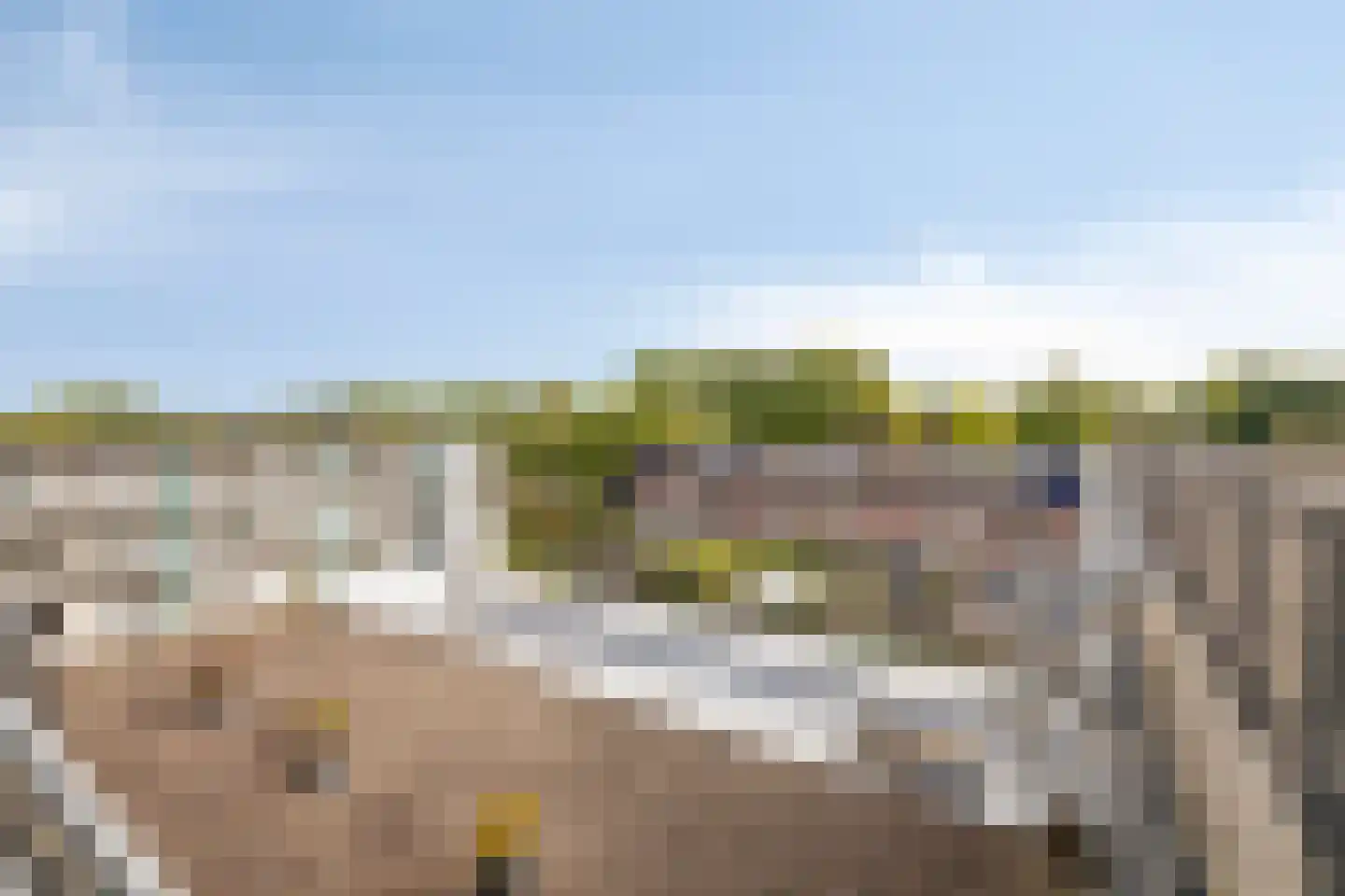 Manis Krijgsmanhof 112 's-Hertogenbosch thumbnail 28