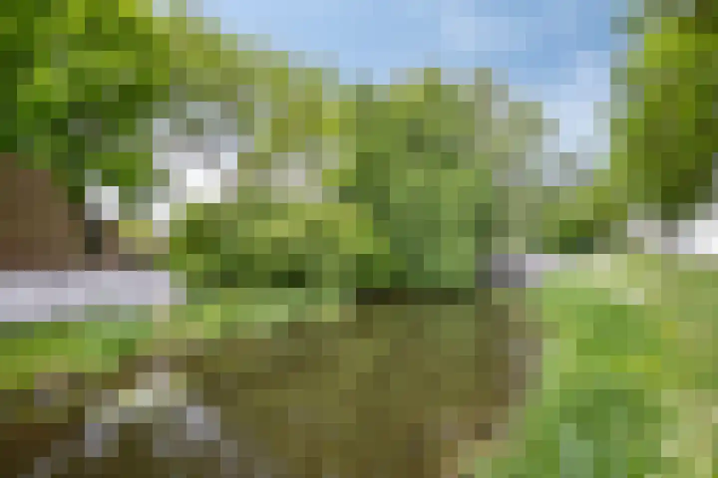 Manis Krijgsmanhof 112 's-Hertogenbosch thumbnail 37