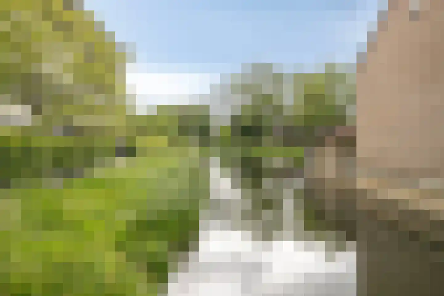 Manis Krijgsmanhof 112 's-Hertogenbosch thumbnail 39