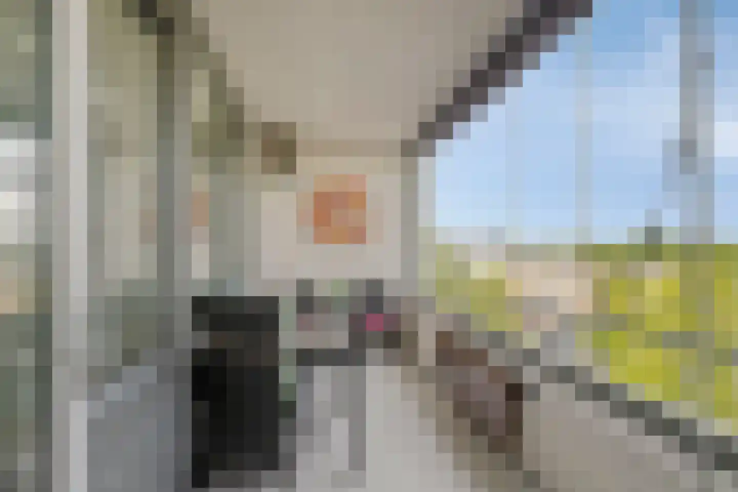Manis Krijgsmanhof 112 's-Hertogenbosch thumbnail 6
