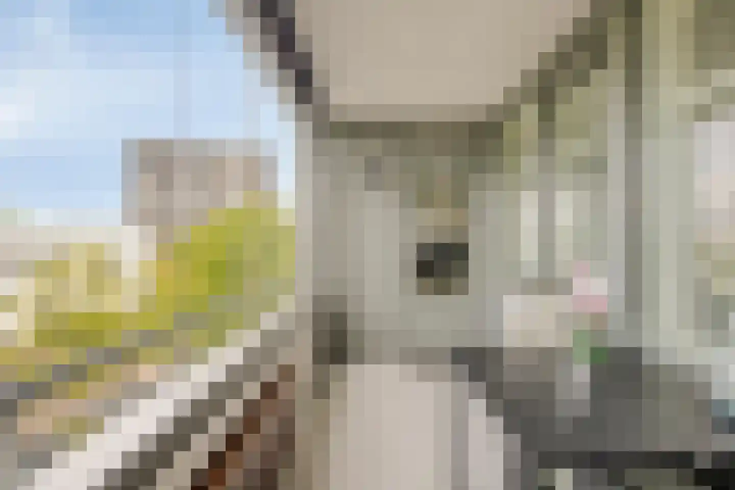 Manis Krijgsmanhof 112 's-Hertogenbosch thumbnail 7