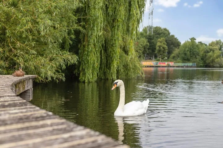 Manis Krijgsmanhof 32 's-Hertogenbosch thumbnail 30