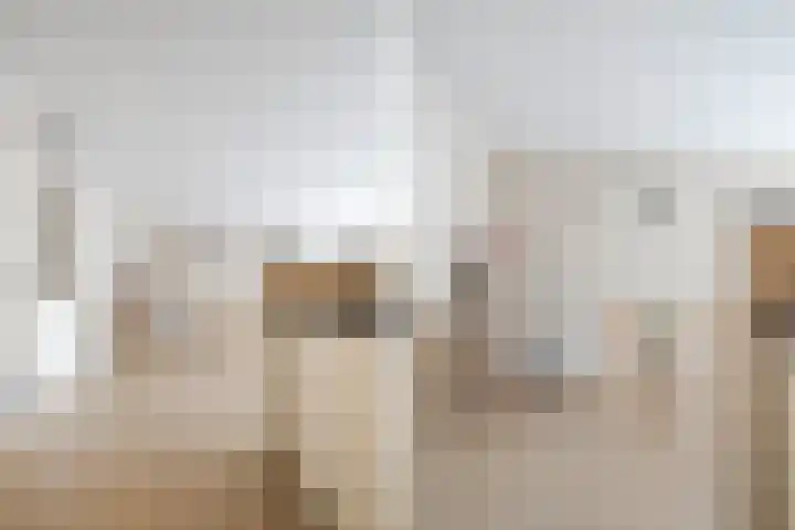 Manis Krijgsmanhof 76 's-Hertogenbosch thumbnail 18