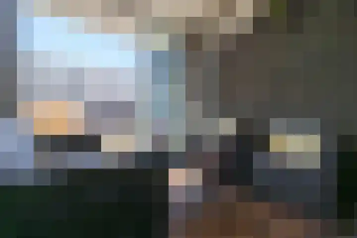Manis Krijgsmanhof 76 's-Hertogenbosch thumbnail 21