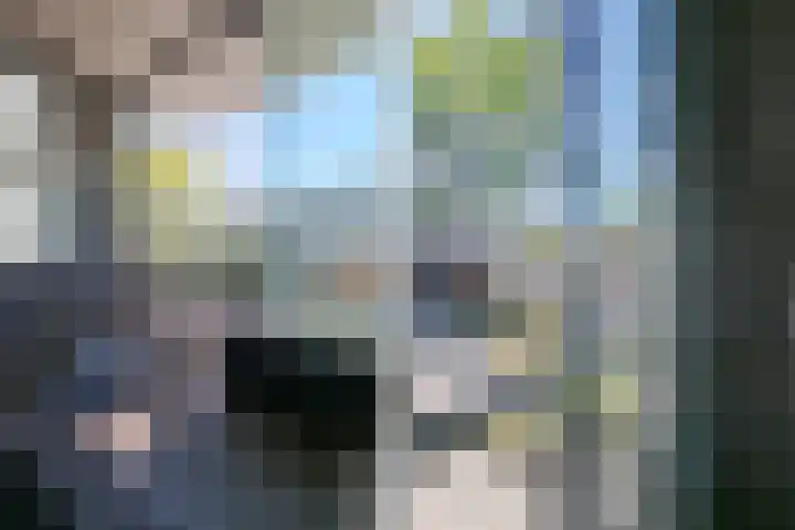 Manis Krijgsmanhof 76 's-Hertogenbosch thumbnail 24