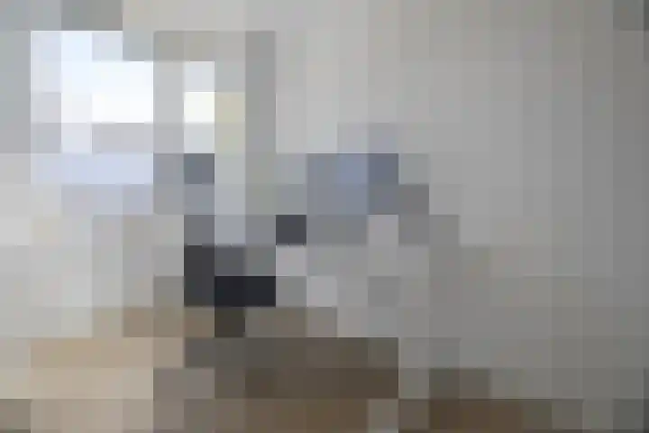 Manis Krijgsmanhof 76 's-Hertogenbosch thumbnail 38