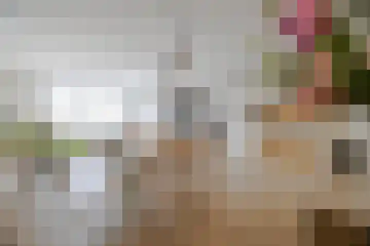 Manis Krijgsmanhof 76 's-Hertogenbosch thumbnail 4