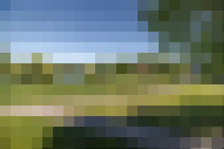 Manis Krijgsmanhof 76 's-Hertogenbosch thumbnail 45