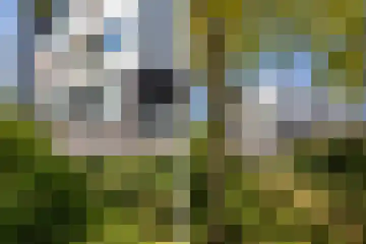 Manis Krijgsmanhof 76 's-Hertogenbosch thumbnail 46