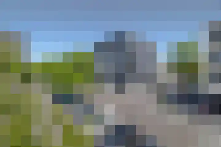 Manis Krijgsmanhof 76 's-Hertogenbosch thumbnail 47