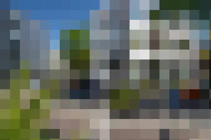 Manis Krijgsmanhof 76 's-Hertogenbosch thumbnail 6